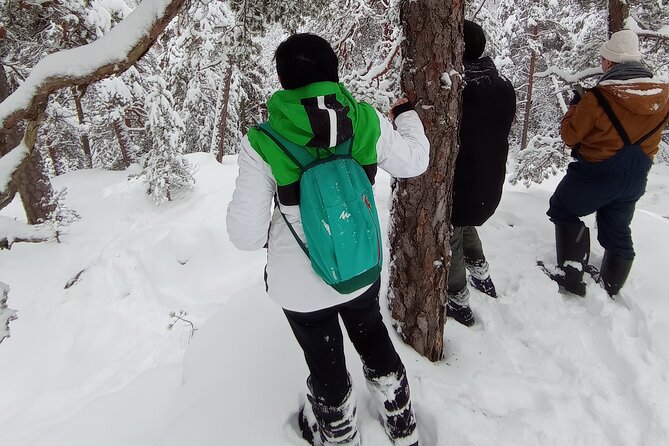 Hiking tour in Nuuksio National Park with meal and snacks - Should you book the Nuuksio experience?