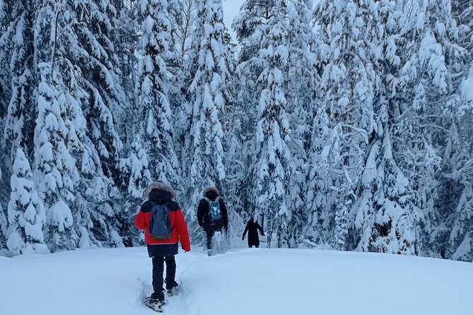 Hiking tour in Nuuksio National Park with meal and snacks - David’s way of guiding the walk
