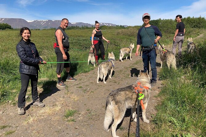 Hiking with Husky in Akureyri (private) - Why this husky visit feels different from a standard excursion