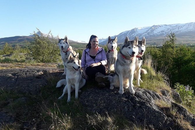 Hiking with Husky in Akureyri (private) - The scenery is gentle, not a serious mountain hike