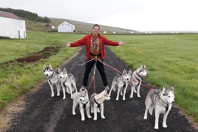Hiking with Husky in Akureyri (private) - How private touring affects the price