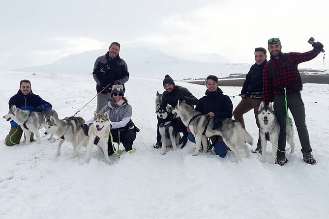 Hiking with Husky in Akureyri (private) - Weather, seasons, and what to wear
