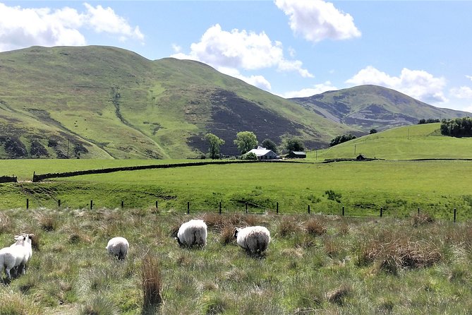Hill & Nature Hike - Discover Real Edinburgh With a Local Expert - The summit brings the payoff
