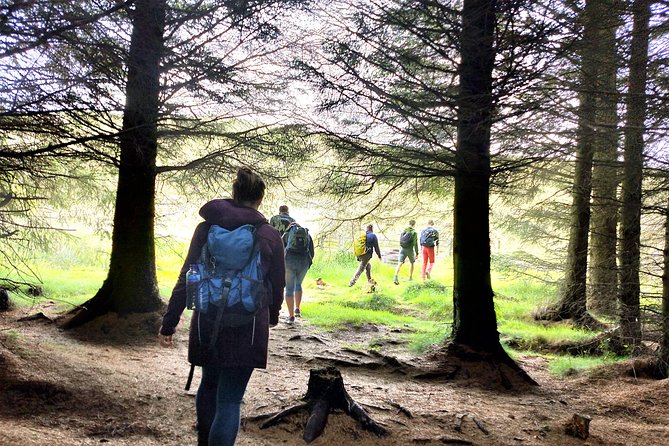 Hill & Nature Hike - Discover Real Edinburgh With a Local Expert - Highland cows, reservoirs, and woodland