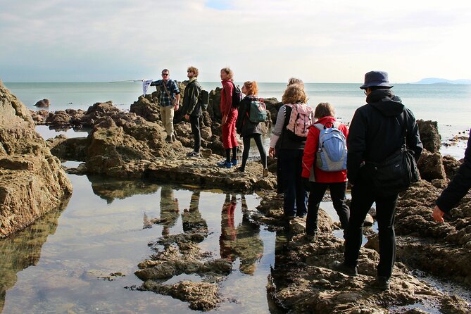 Howth Safari Hiking Tour - The breakfast start at the House restaurant