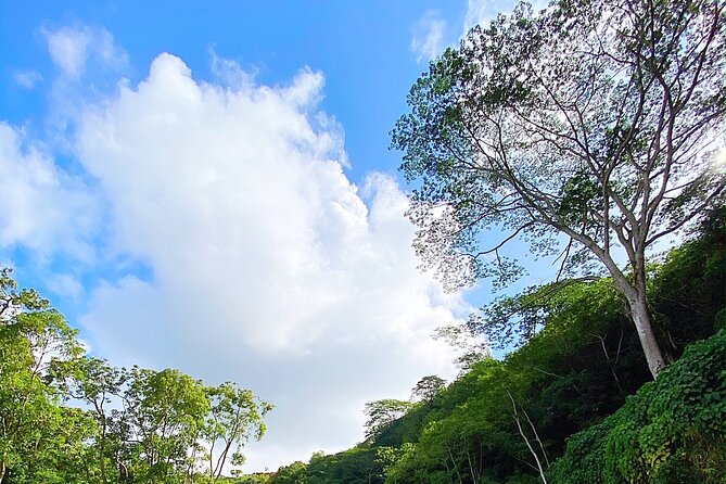 Kauai Adventure: Kayak & Hike to Secret Falls with Expert Guide - Returning by kayak to the marina