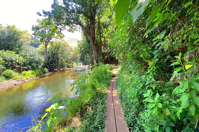 Kauai Adventure: Kayak & Hike to Secret Falls with Expert Guide - What the $140 price really covers