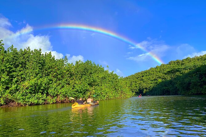 Kauai Adventure: Kayak & Hike to Secret Falls with Expert Guide - Who should choose this Kauai adventure