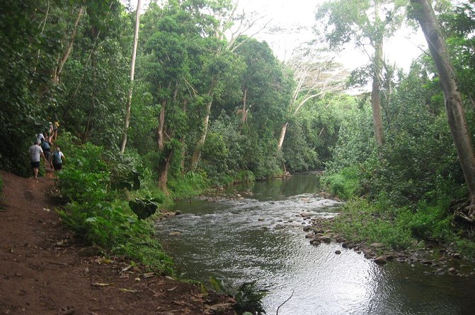 Kauai Adventure: Kayak & Hike to Secret Falls with Expert Guide - Leaving the kayaks for the rainforest trail
