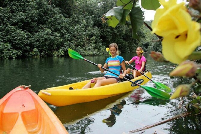 Kauai: Secret Falls Kayak and Hike - Paddling 4 miles through the Wailua River