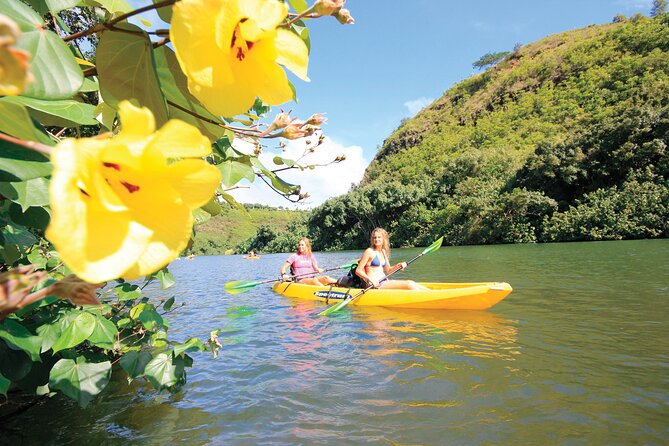 Kauai: Secret Falls Kayak and Hike - Who should book this Kauai tour