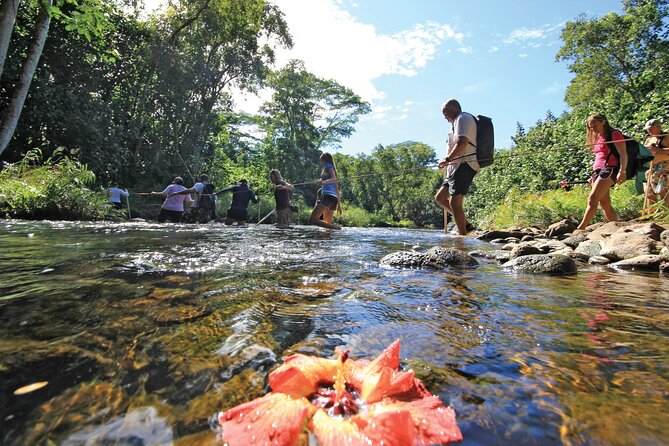Kauai: Secret Falls Kayak and Hike - Hiking the 1.5-mile rainforest trail