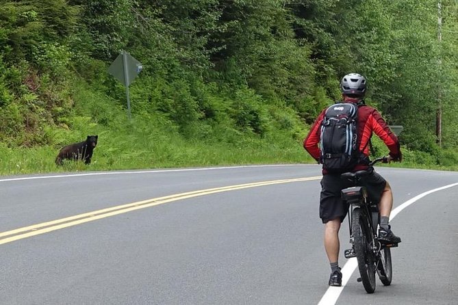 Ketchikan Electric Bike and Rain Forest Hike Ecotour - Walking into Tongass National Forest