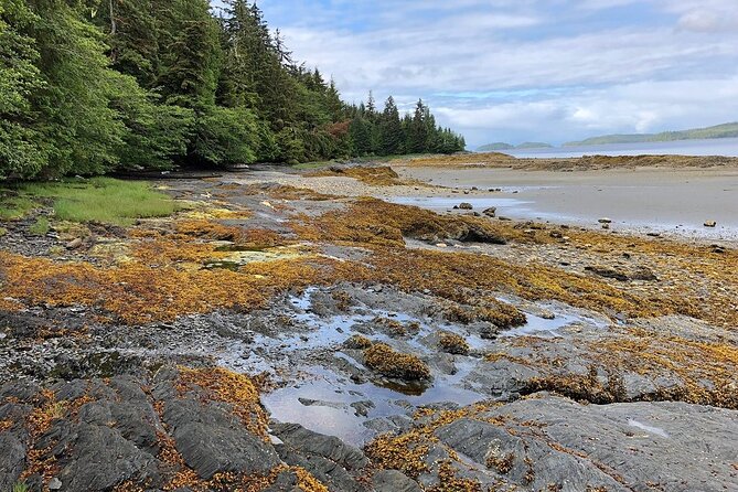 Ketchikan Electric Bike and Rain Forest Hike Ecotour - What $161 buys you