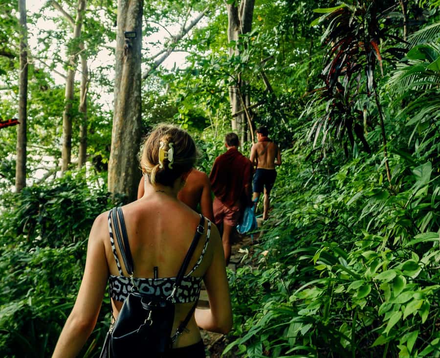 Khao Sok: Private Day Trekking, Jungle Dinner & Night Safari - Who should book this outing