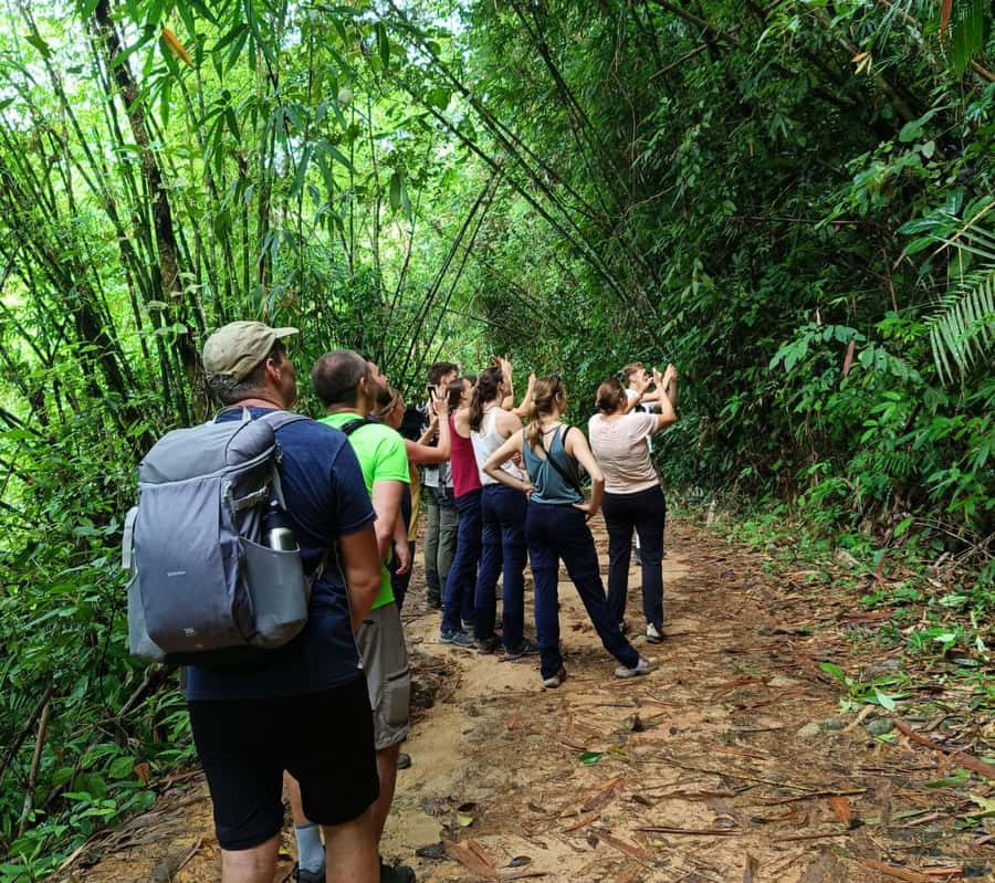 Khao Sok: Private Day Trekking, Jungle Dinner & Night Safari - Bamboo cooking beside the river