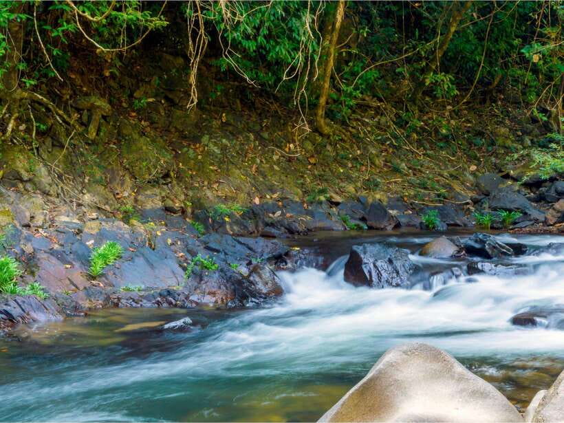 Khao Sok: Private Waterfalls and Wildlife Half-Day Trek - What the $48 price includes