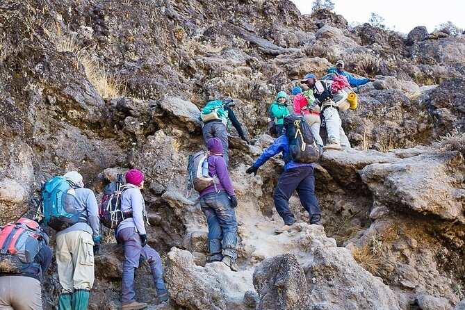 Kilimanjaro 7 Day Private Trekking Experience - Day 5: Barafu Camp and the southern circuit