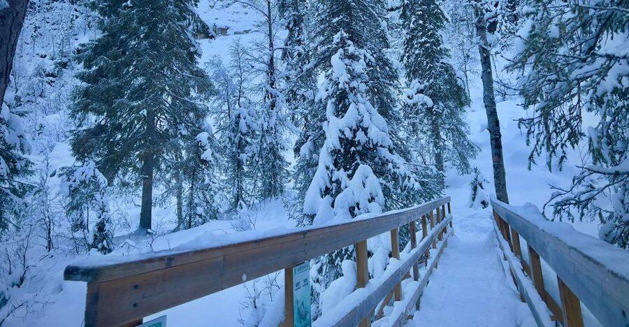 Korouoma: Frozen Waterfall Hiking Tour - From Rovaniemi to the canyon in a warm van