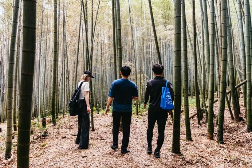 Kyoto: 3-Hour Fushimi Inari Shrine Hidden Hiking Tour - Is $72 a fair price?
