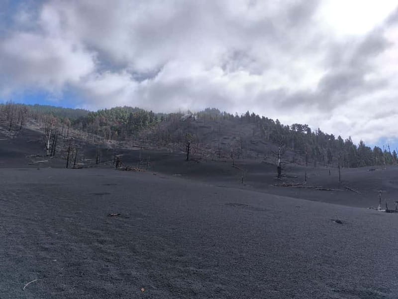 La Palma: Tajogaite Volcano Guided Hike - Key points before you book
