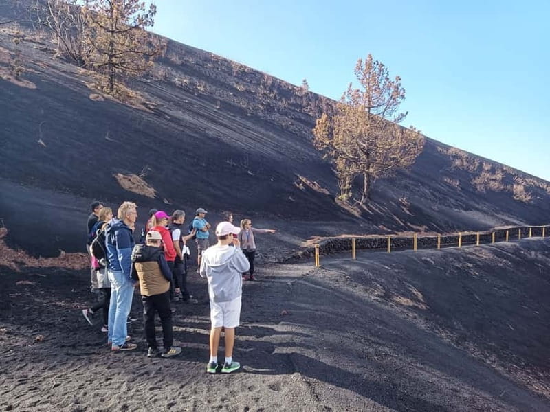 La Palma: Tajogaite Volcano Guided Hike - Green sulfur, steam, and black ash