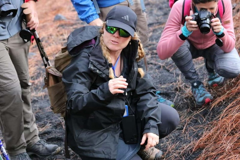 La Palma: Tajogaite Volcano Guided Hike - Is $43 a fair price?