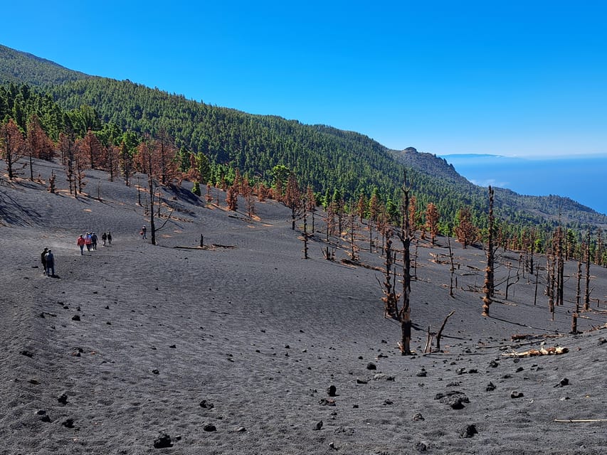 La Palma: Tajogaite Volcano Guided Trek - What makes this Tajogaite trek worth your time