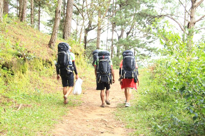Langbiang Green Trekking Tours - Signature Trekking Da Lat - What the climb feels like through the forest