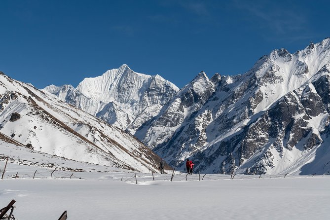 Langtang Valley Trek - Key points to know before you book