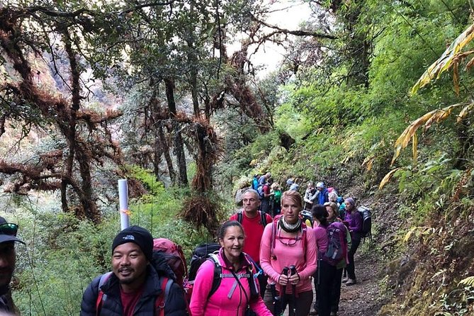Langtang Valley Trek - Day 4: Reaching Kyanjin Gompa