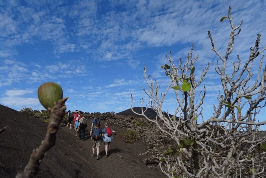 Lanzarote: Hike Across Timanfaya's Volcanic Landscapes - A Quiet Alternative to the Main Timanfaya Circuit