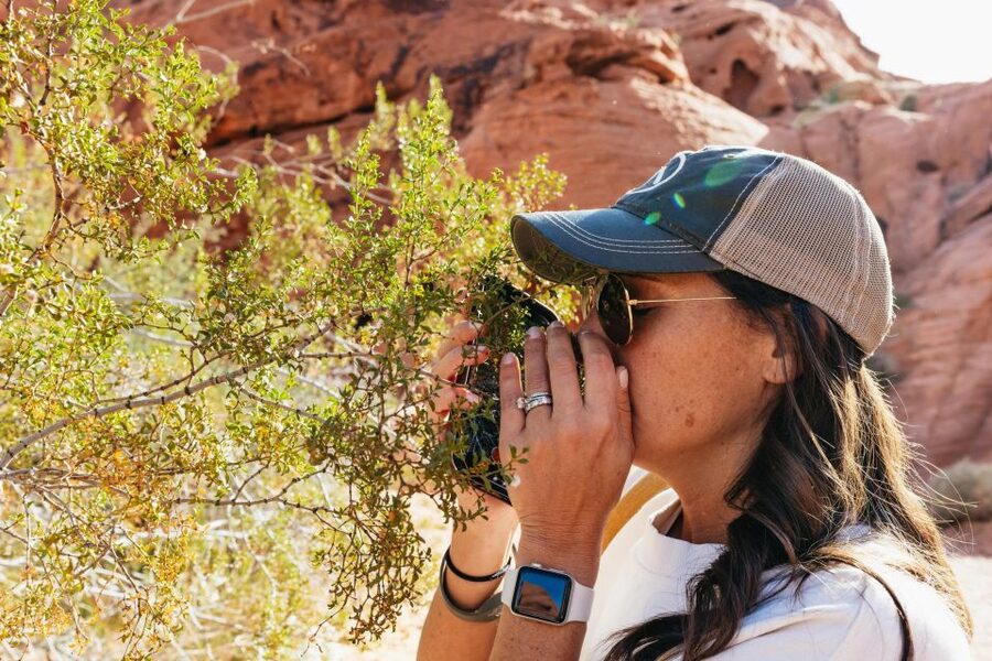 Las Vegas: Valley of Fire Guided Hike with Drinks and Snacks - Should you book it?