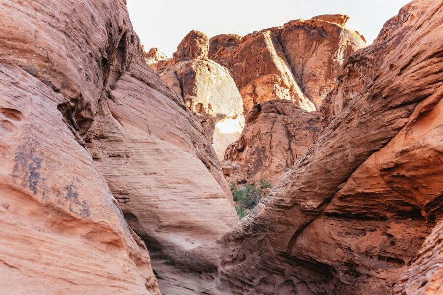 Las Vegas: Valley of Fire Guided Hike with Drinks and Snacks - Is $129 a fair price?