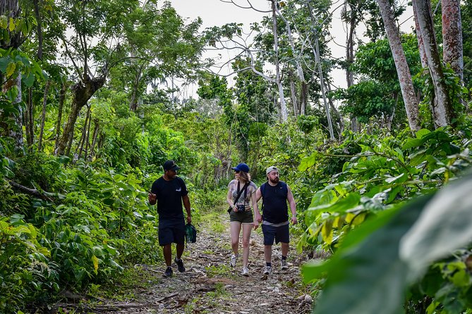 Let's do hiking in Punta Cana - The Anamuya River and the local produce stop