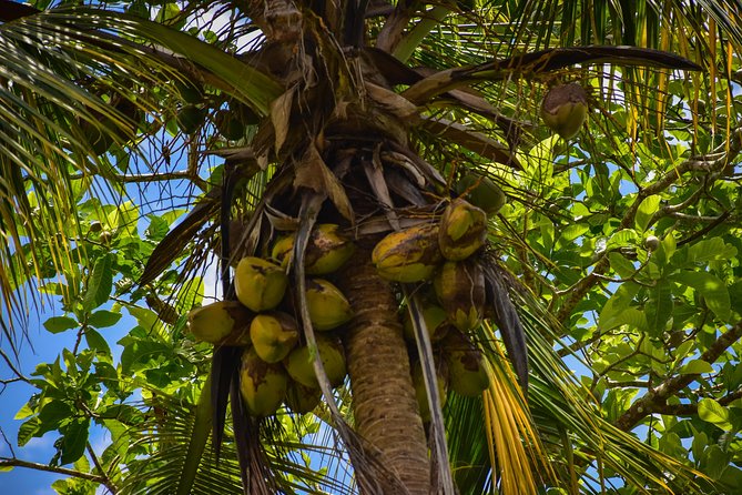 Let's do hiking in Punta Cana - Rain, heat, and the right packing list