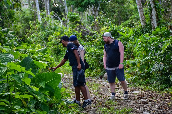 Let's do hiking in Punta Cana - Who should book this hike
