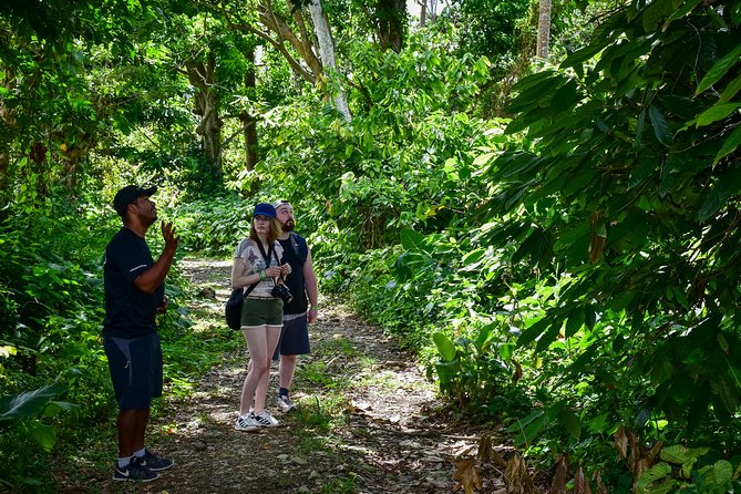 Let's do hiking in Punta Cana - Wilkin, Paul, and the value of a good guide