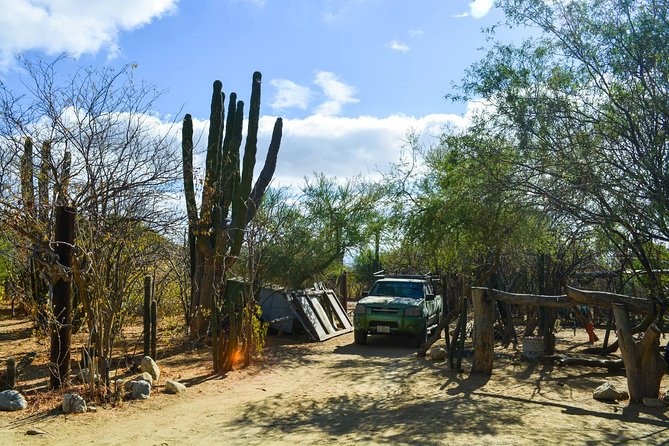 Los Cabos: Hiking at the Fox Canyon with Waterfall - Guides who shape the day