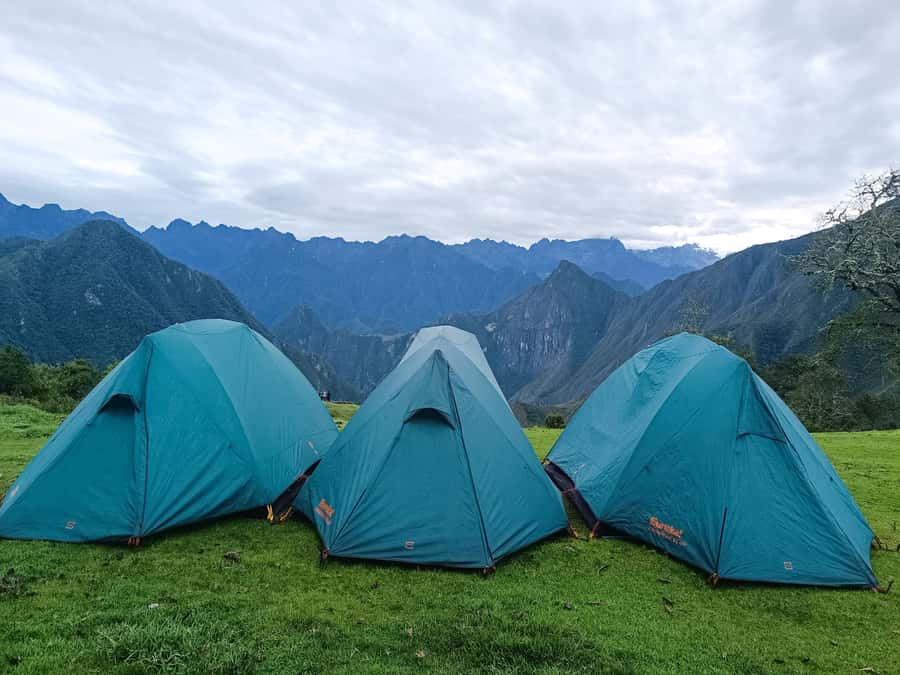 Machu Picchu: 5-Day Salkantay Trek with Panoramic Train - Food, camping, and the support team