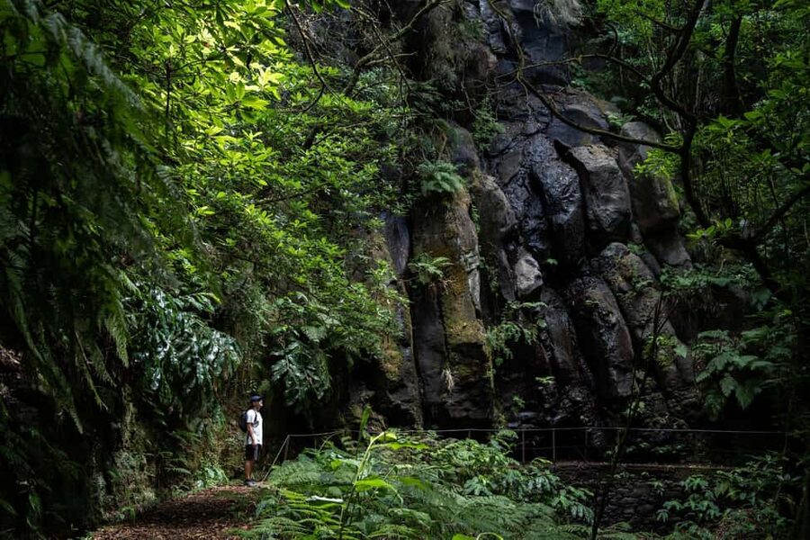 Madeira: PR 9 - Levada do Caldeirão Verde Hike Transfer - Pico das Pedras and the PR9.1 approach