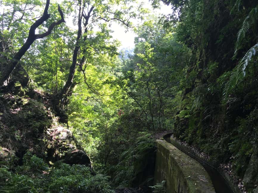 Madeira: PR 9 - Levada do Caldeirão Verde Hike Transfer - What the $47 price really covers