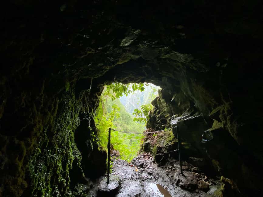 Madeira: PR 9 - Levada do Caldeirão Verde Hike Transfer - Pickup from Funchal, Caniço, and Garajau