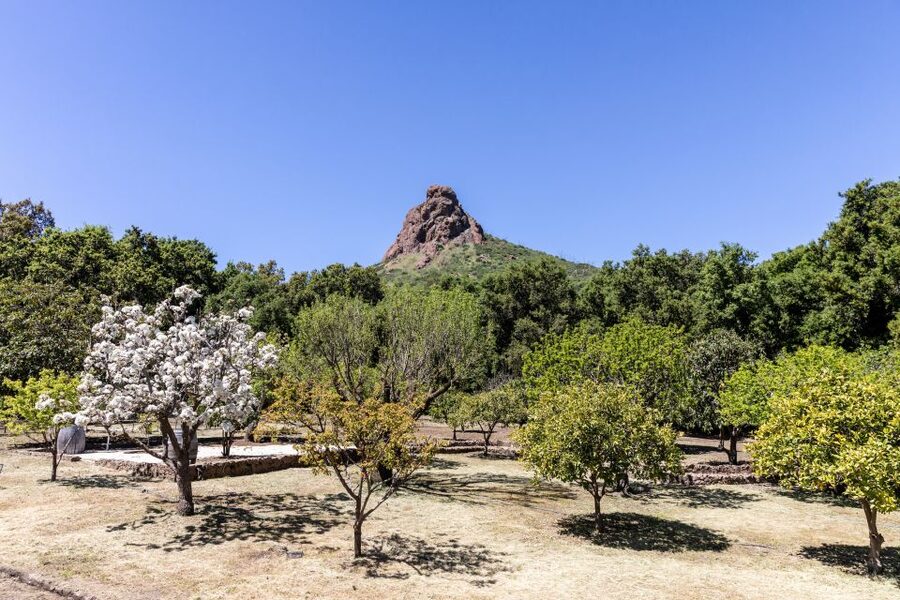 Malibu: Guided Vineyard Hike with Photo Stops and Wine - Who will enjoy this outing most