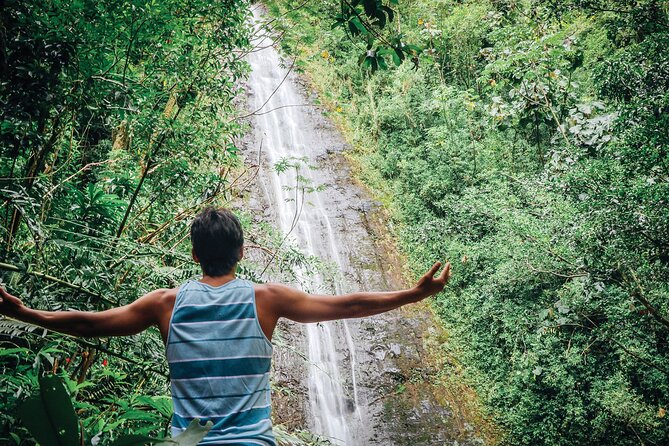 Manoa Waterfall Hike with Waikiki Pickup & Healthy Lunch - Leaving Waikiki at 9:00 a.m.