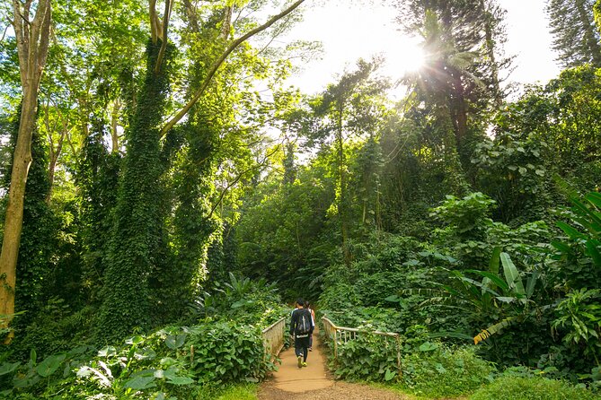 Manoa Waterfall Hike with Waikiki Pickup & Healthy Lunch - Reaching the 150-foot Manoa Falls