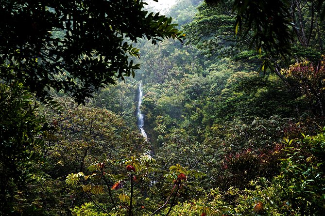 Manoa Waterfall Hike with Waikiki Pickup & Healthy Lunch - Tantalus Lookout and lunch above Honolulu
