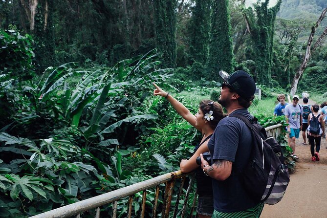 Manoa Waterfall Hike with Waikiki Pickup & Healthy Lunch - How difficult is the hike?