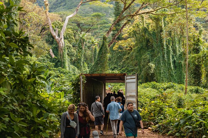 Manoa Waterfall Hike with Waikiki Pickup & Healthy Lunch - Who will enjoy this half-day outing?