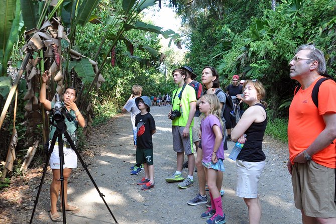 Manuel Antonio National Park Hiking Tour from Jacó - Walking the rainforest trails